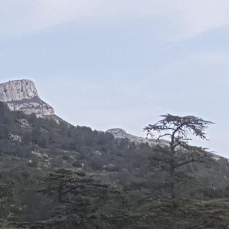 Charmant Appartement Neuf Le Taoume Marseille Ngoại thất bức ảnh
