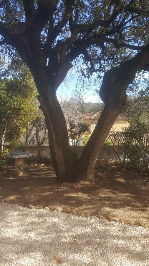 Charmant Appartement Neuf Le Taoume Marseille Ngoại thất bức ảnh