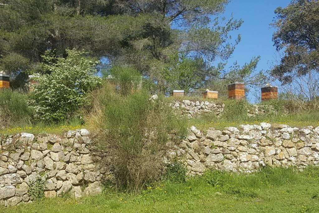Charmant Appartement Neuf Le Taoume Marseille Ngoại thất bức ảnh